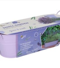 Buzzy - Minizahrádka Uklidňující levandule - Pieterpik - 1 ks