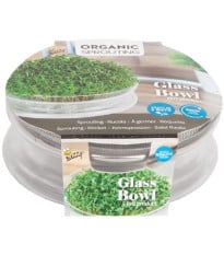 Bio klíčící miska s rukolou – Buzzy Organic – Pieterpik