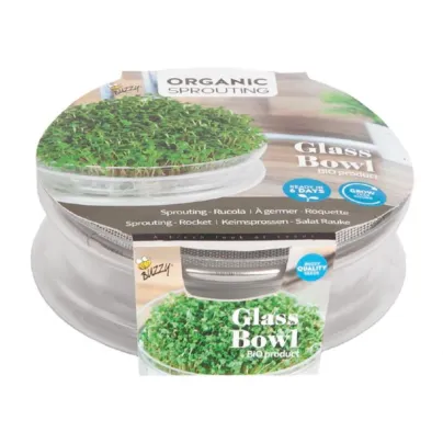 Bio klíčící miska s rukolou – Buzzy Organic – Pieterpik