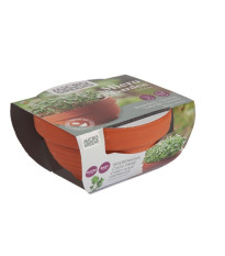 Microgreens kadeřávek v terakotové misce Buzzy Pieterpik
