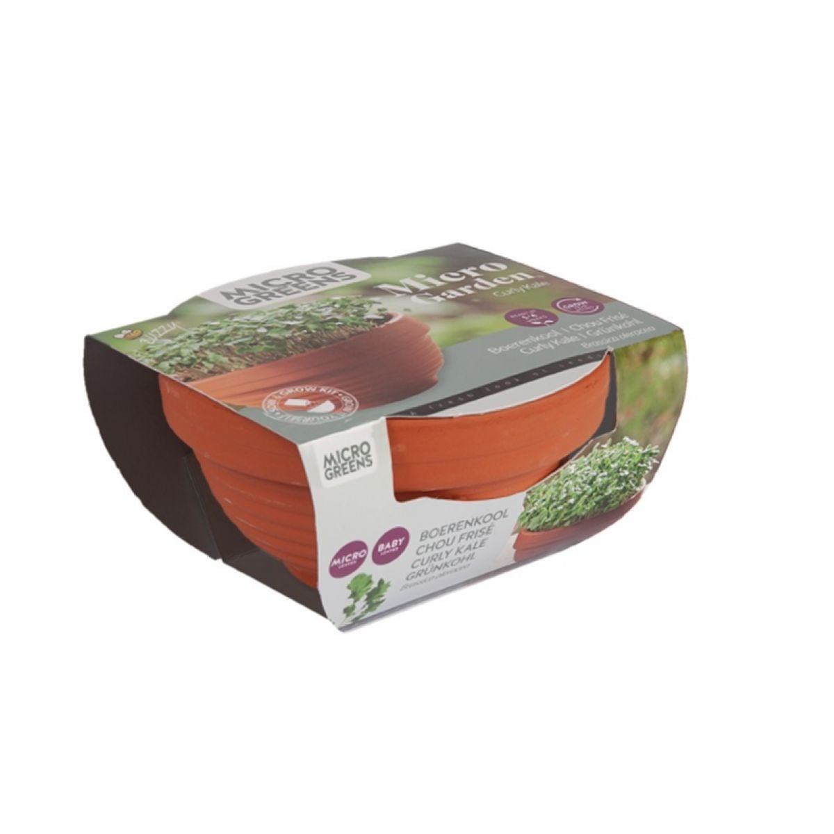 Microgreens kadeřávek v terakotové misce Buzzy Pieterpik