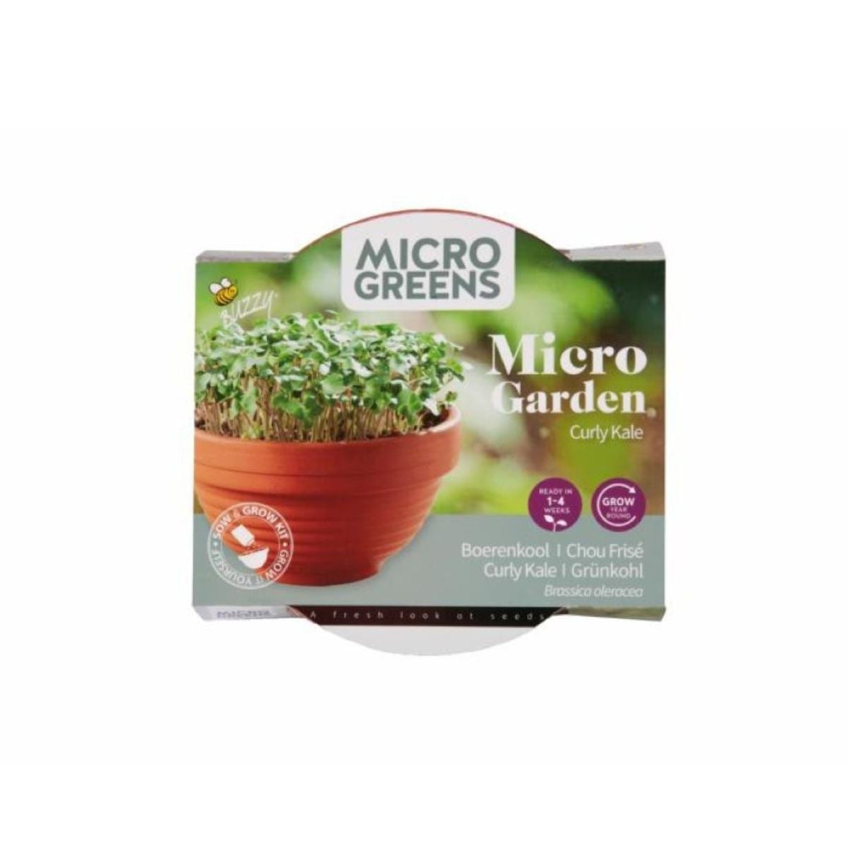 Microgreens kadeřávek v terakotové misce Buzzy Pieterpik