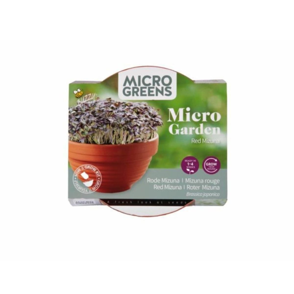 Červená mizuna v terakotové misce – Buzzy Microgreens