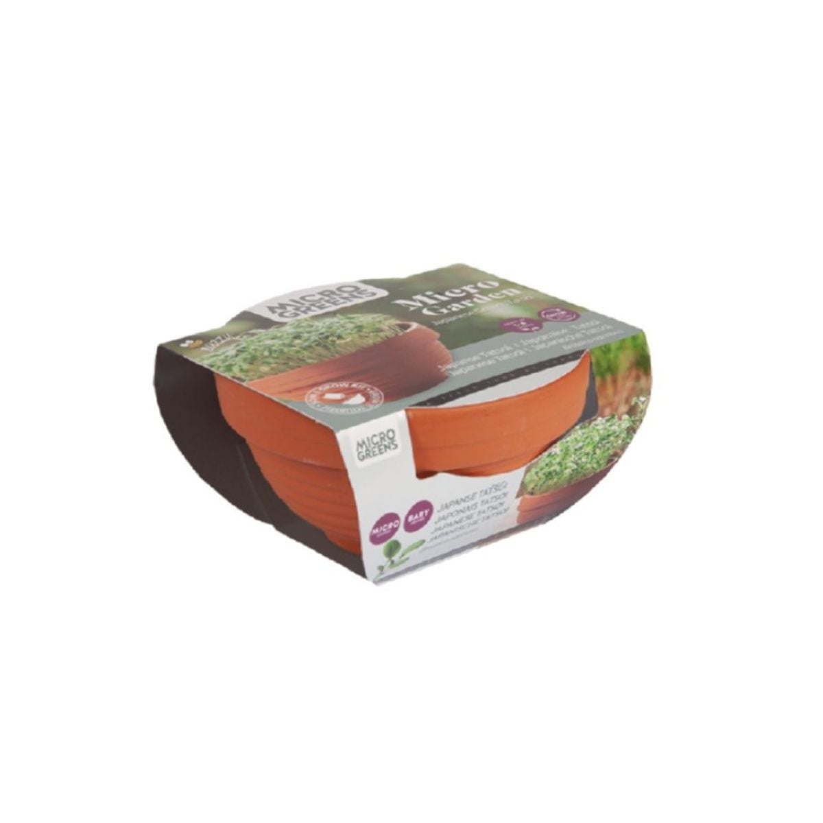 Microgreens Tatsoi v terakotové misce Buzzy