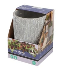 Pěstební sada s africkou kopřivou Buzzy House Plants