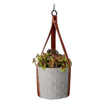 Pěstební sada s africkou kopřivou Buzzy House Plants