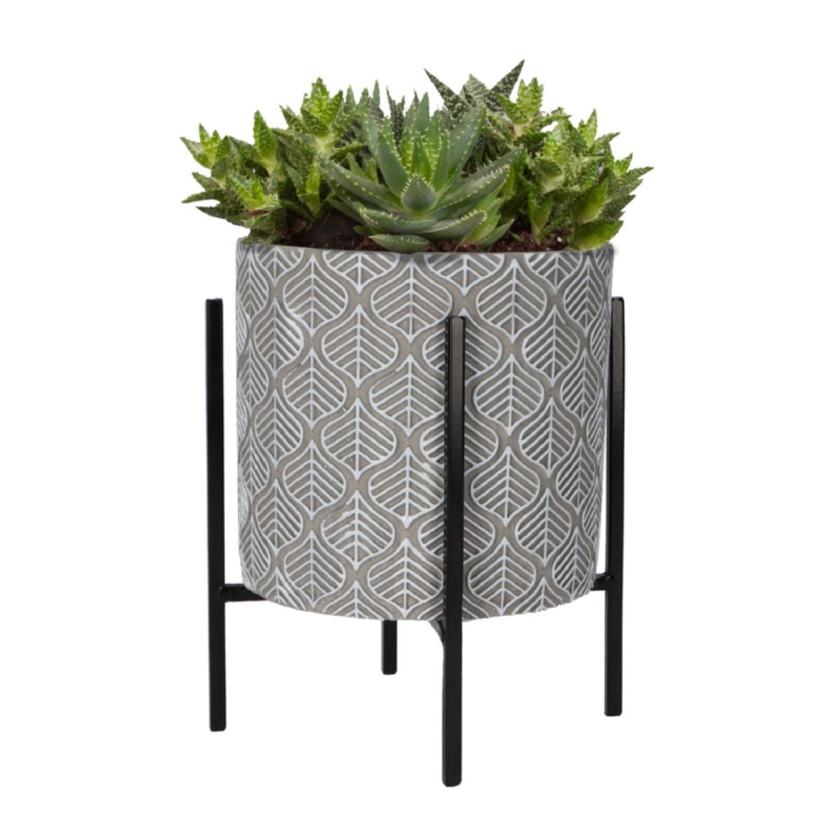 Pěstební sada Aloe Vera s květináčem Buzzy House Plants