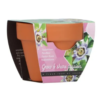 Mini pěstební sada mučenky Buzzy Grow Gift Pieterpik