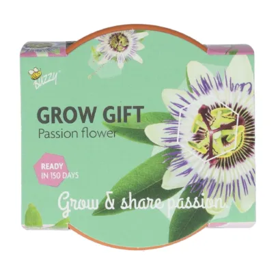 Mini pěstební sada mučenky Buzzy Grow Gift Pieterpik
