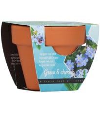 Pěstitelská mini sada pomněnky – Buzzy Grow Gift – Pieterpik
