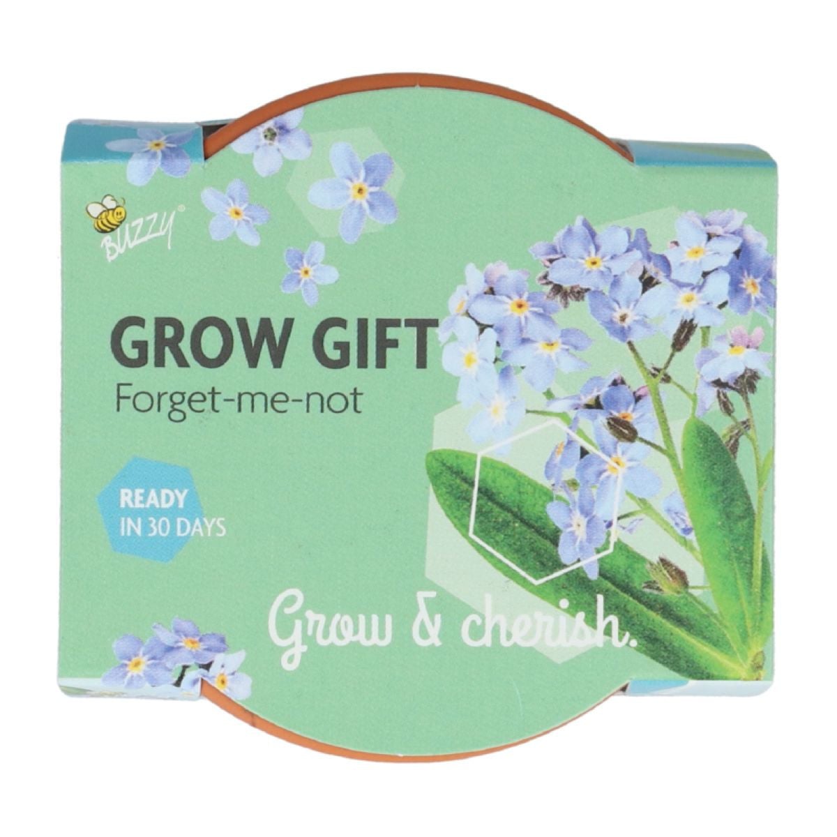 Pěstitelská mini sada pomněnky – Buzzy Grow Gift – Pieterpik