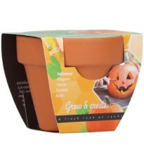 Mini sada na pěstování dýně – Buzzy Grow Gifts – Pieterpik
