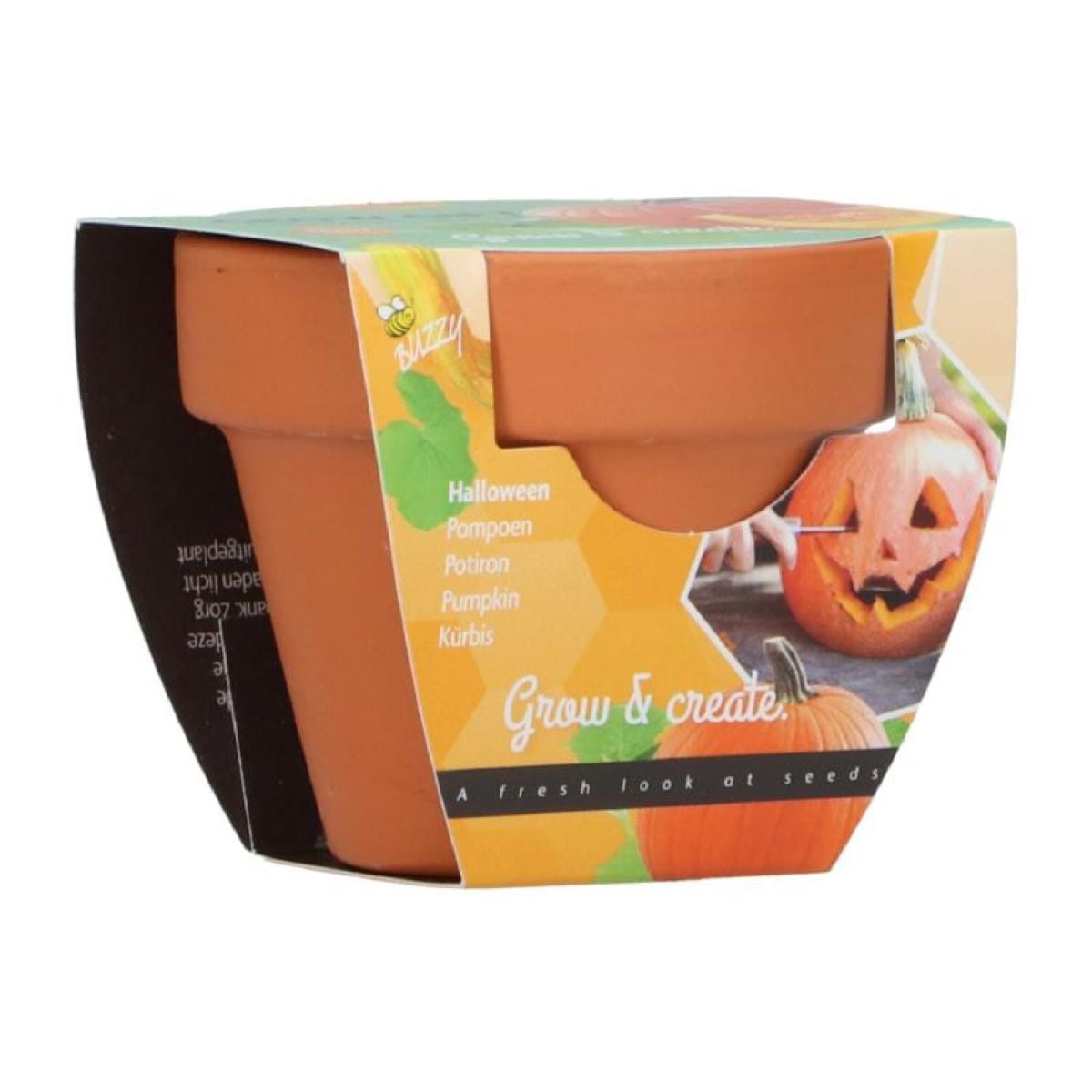 Mini sada na pěstování dýně – Buzzy Grow Gifts – Pieterpik