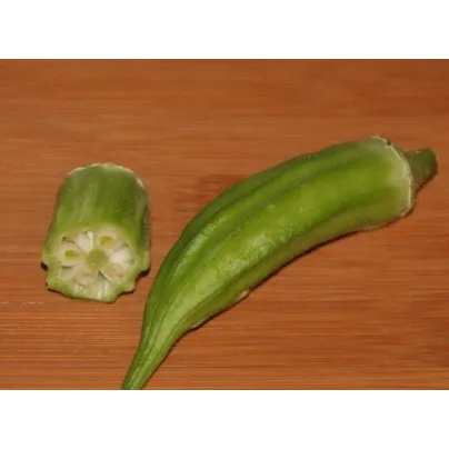 Ibišek jedlý - Abelmoschus esculentus - osivo ibišku - 12 ks