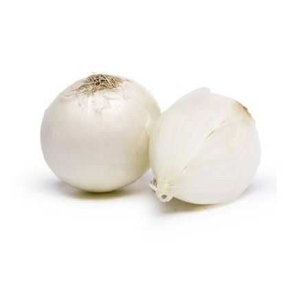 Cibule jarní bílá- semena Cibule- 350 ks