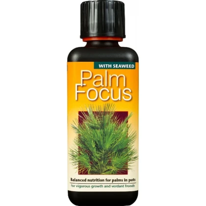 Hnojivo pro palmy - Palm focus - 300 ml