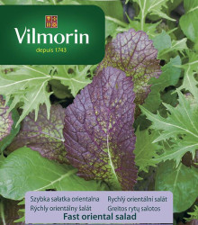 Vilmorin - Rychlý orientální salát - 2 g