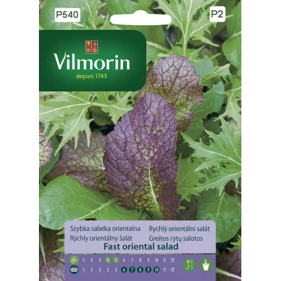 Vilmorin - Rychlý orientální salát - osivo salátu - 2 g