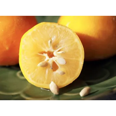 Set pro milovníky citrusů - dárkové balení zdarma