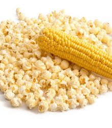 Kukuřice pukancová F1 - Zea mays - semena kukuřice - 15 ks 