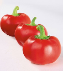 Paprika rajčatová Topgirl - Capsicum annuum - osivo paprik - 7 ks