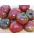 Rajče Carbon - Solanum lycopersicum - osivo rajčat - 6 ks
