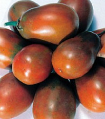Rajče Černá švestka - Solanum lycopersicum - osivo rajčat - 6 ks