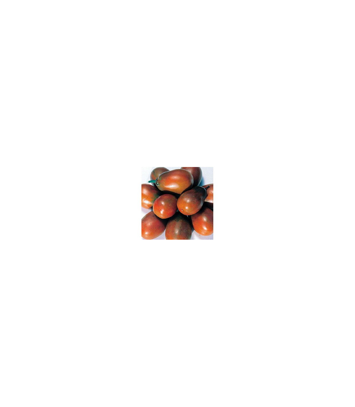Rajče Černá švestka - Solanum lycopersicum - osivo rajčat - 6 ks