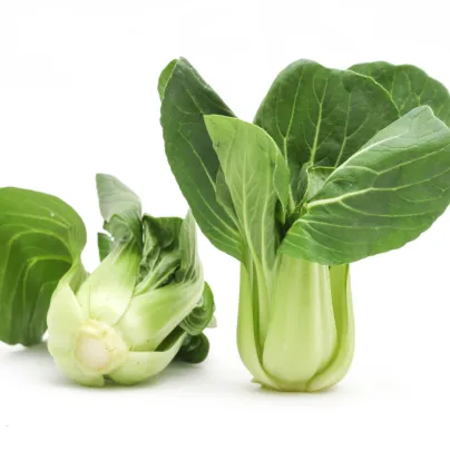 Pak Choi Sagami - Brassica rapa var rosularis - osivo pak choi - 150 ks