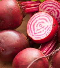 Řepa salátová Chioggia - Beta vulgaris - osivo řepy - 50 ks