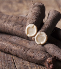 Černý kořen Meres - Scorzonera hispanica - osivo černého kořene - 30 ks