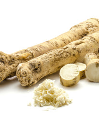 Křen selský - kořenový řízek - 1 ks