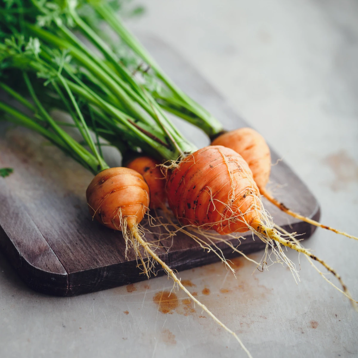 Mrkev kulatá k rychlení Pariser Markt 4 - Daucus carota - osivo mrkve - 500 ks