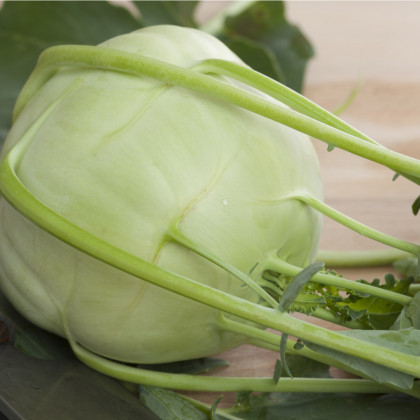 Kedluben obří Superschmelz - Brassica oleracea - osivo kedlubny - 300 ks