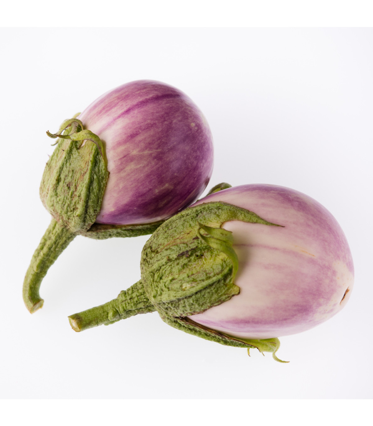Lilek Rosa Bianca - Baklažán - Solanum melongena - osivo lilku - 6 ks