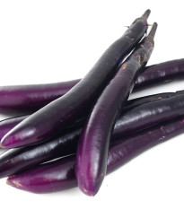 Lilek Fengyan - Baklažán - Solanum melongena - osivo lilku - 7 ks