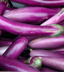 Lilek Pingtung - Baklažán - Solanum melongena - osivo lilku - 6 ks