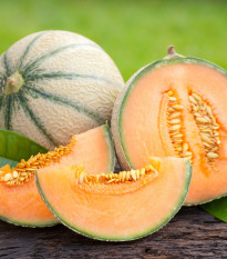 Meloun cukrový Maltese F1 - Cucumis melo - osivo melounu - 8 ks