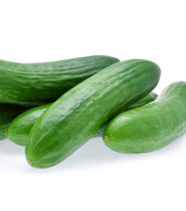 BIO okurka hadovka Paska F1 - Cucumis sativus - bio osivo okurky - 4 ks