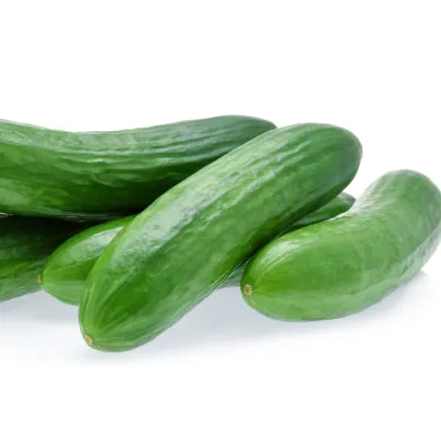 BIO okurka hadovka Paska F1 - Cucumis sativus - bio osivo okurky - 4 ks