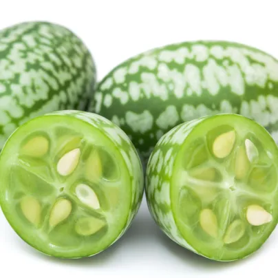 Mexická mini okurka - Melothria scabra - osivo okurky - 5 ks