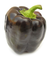 Paprika Fialová kráska - Capsicum Annuum - osivo papriky - 9 ks