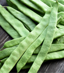 Fazole tyčková Algarve - Phaseolus vulgaris - osivo fazole - 20 ks
