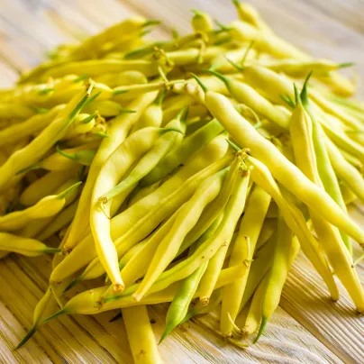 Fazole keříčková Golden Teepee - Phaseolus vulgaris - osivo fazole - 20 ks