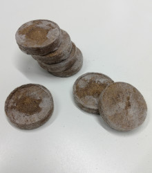 Velké sadbovací tablety - Jiffy - rašelinové zakořeňovače - vel. 33 mm - 1 ks