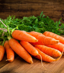 Mrkev Rotin - Daucus carota - osivo mrkve - 1,5 gr