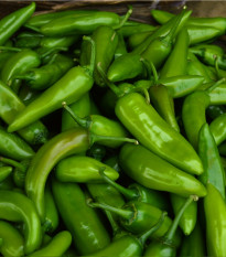 Chilli Velký Jim - Capsicum annuum - osivo chilli - 7 ks