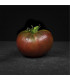 Rajče Černý muž - Lycopersicon esculentum - osivo rajčat - 6 ks