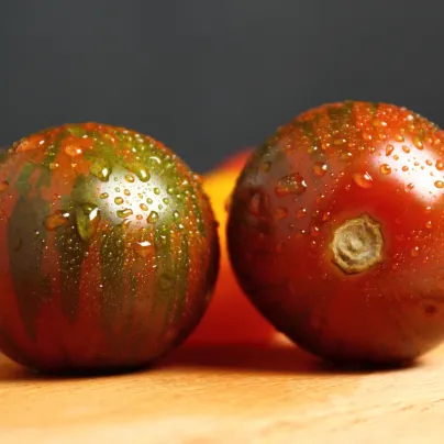 Rajče Black Zebra - Solanum lycopersicum - osivo rajčat - 7 ks