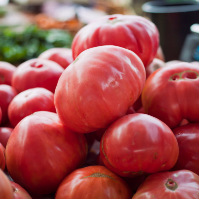 Rajče Oxheart Pink - Solanum lycopersicum - osivo rajčat - 5 ks